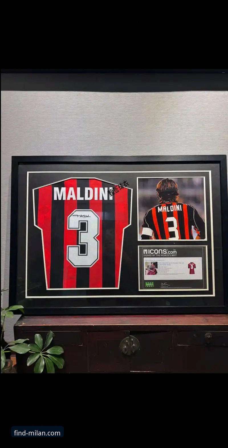 红黑军团球迷亲测：AC米兰官网安全吗？我的真实使用心得与避坑指南